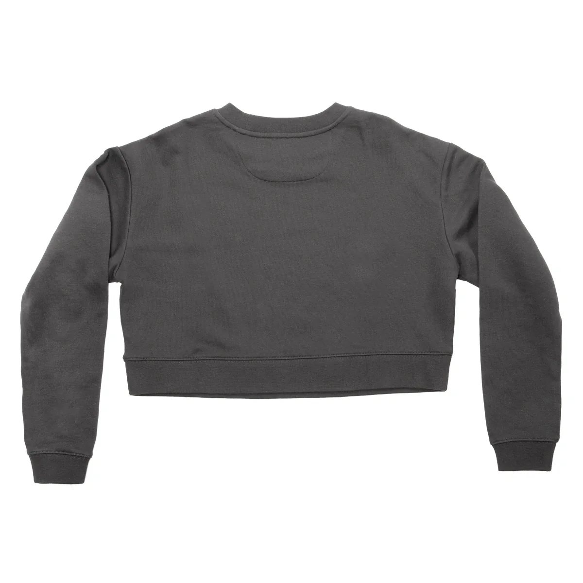 Fasthouse Renown Crew Neck Crop Pullover for Women - Image 2