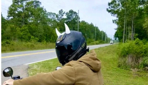 Helmet Flair Large Horns - Image 6