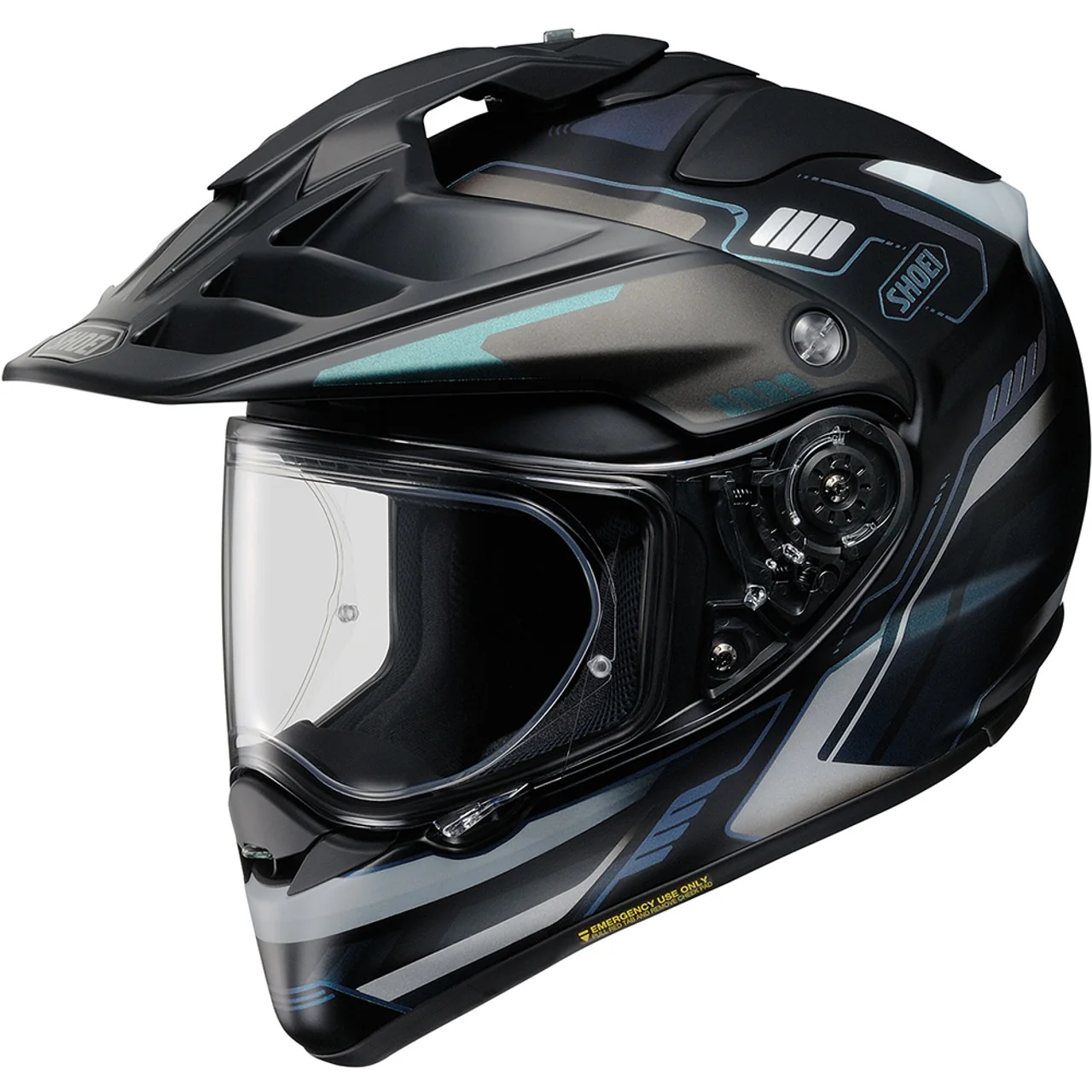 Shoei Hornet X2 Invigorate Helmet