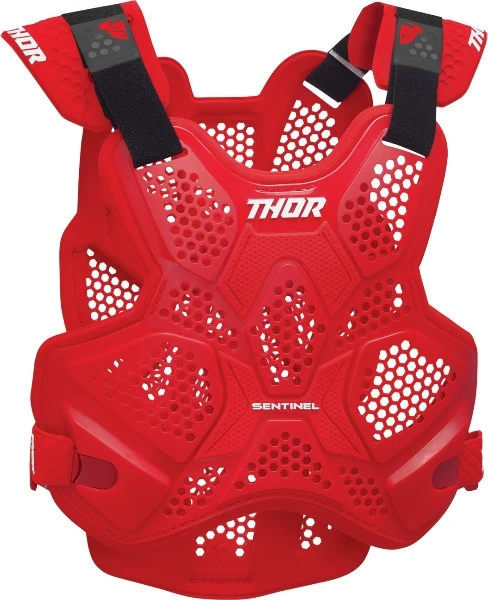 Thor Sentinel LTD Roost Guard - Image 6